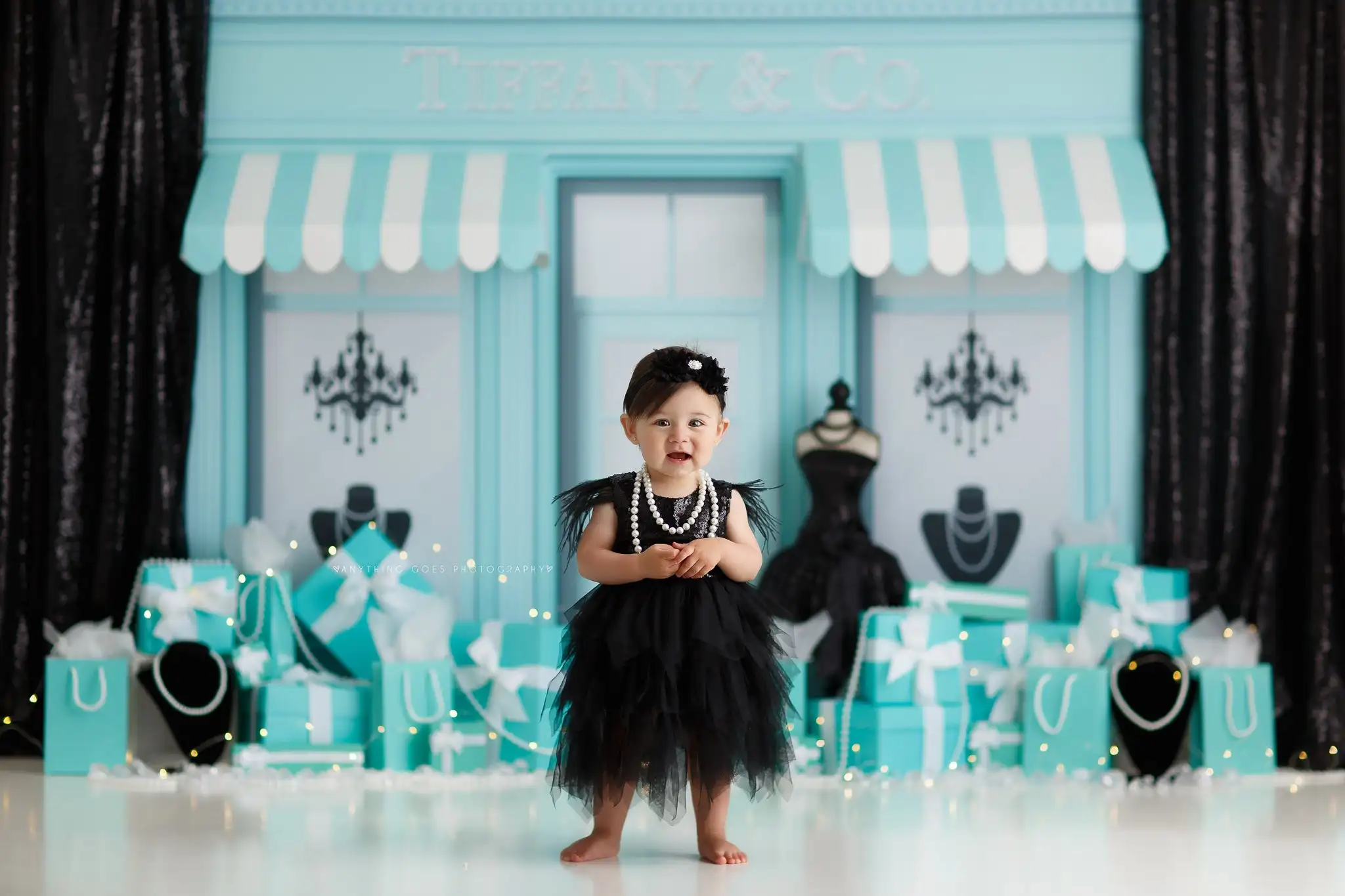 Diamonds Shop Photography Back - Photography Cheat Sheet review and price