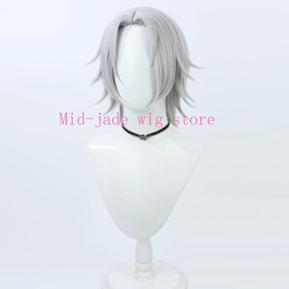 Hayato Gokudera Cosplay Wig Si - Photography Japanese review and price